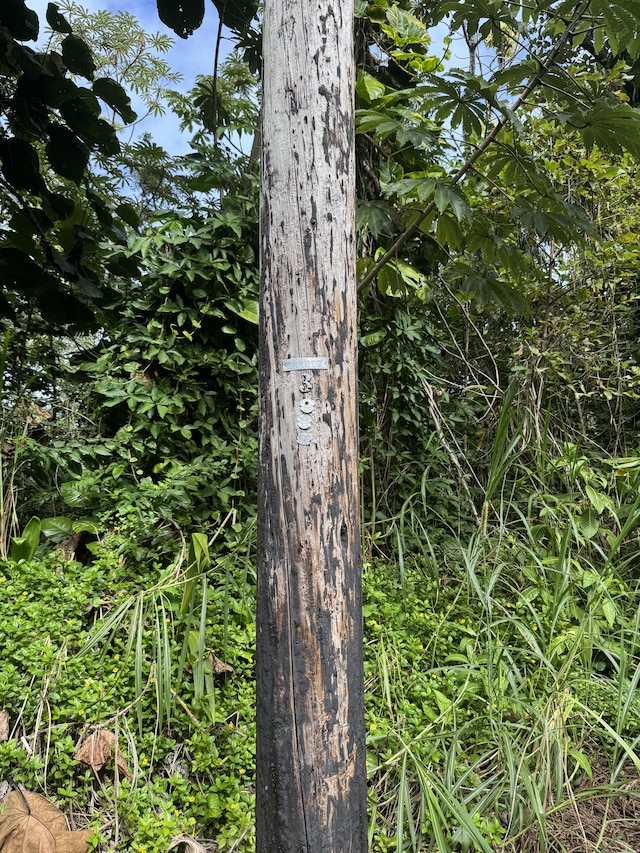 Opelu St, Pahoa, HI 96778
