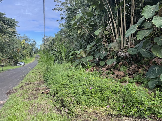 Opelu St, Pahoa, HI 96778