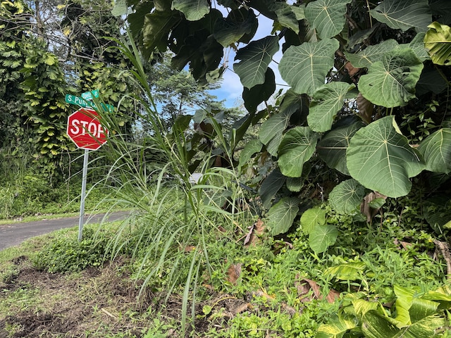 Opelu St, Pahoa, HI 96778