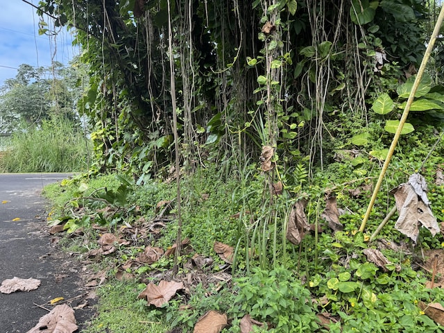 Opelu St, Pahoa, HI 96778