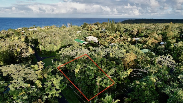 Opelu St, Pahoa, HI 96778