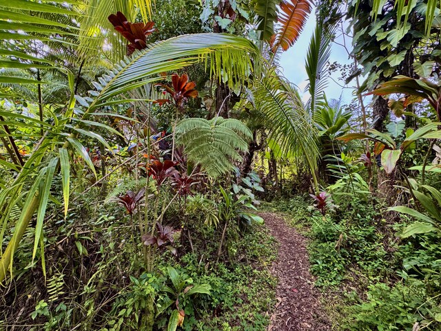 16-2118 Sugarcane Ln, Pahoa, HI 96778 - photo 9