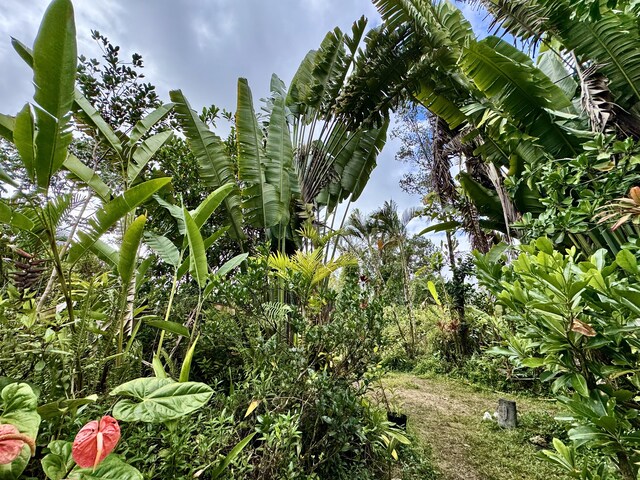 16-2118 Sugarcane Ln, Pahoa, HI 96778 - photo 17