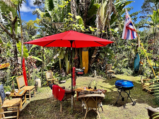 16-2118 Sugarcane Ln, Pahoa, HI 96778 - photo 20