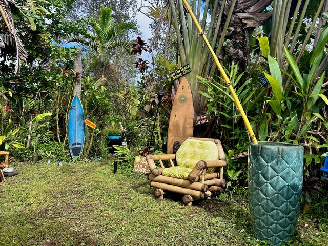 16-2118 Sugarcane Ln, Pahoa, HI 96778 - photo 22