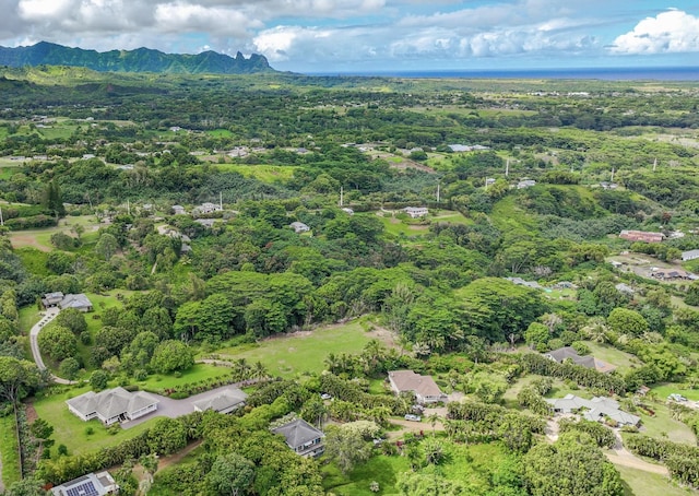 5750-M Olohena Rd, Kapaa, HI 96746 - drone / aerial view
