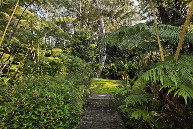 19-4235 Wright Rd, Volcano, HI 96785 - view of community