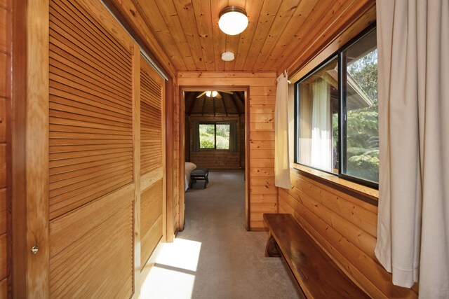 19-4235 Wright Rd, Volcano, HI 96785 - hallway with wooden walls, wooden ceiling, and carpet