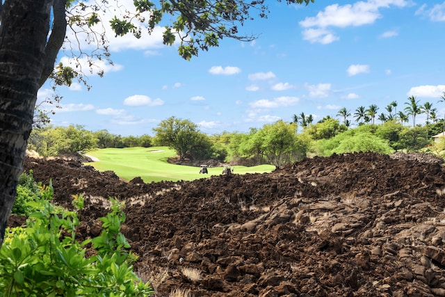 68-1125 Kaniku Dr Unit 1103, Kamuela, HI 96743 - view of yard featuring view of golf course