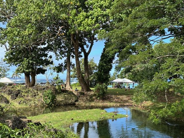 1875 Kalanianaole St Unit 209, Hilo, HI 96720 - water view