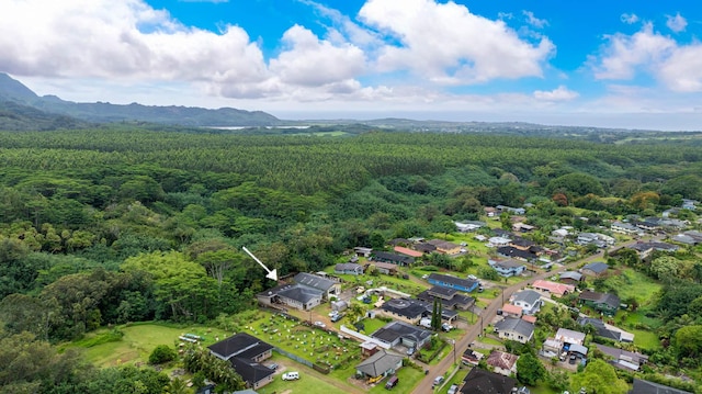 4460 Punee Rd Unit A, Koloa, HI 96756 - aerial overview of property's location with a heavily wooded area and nearby suburban area