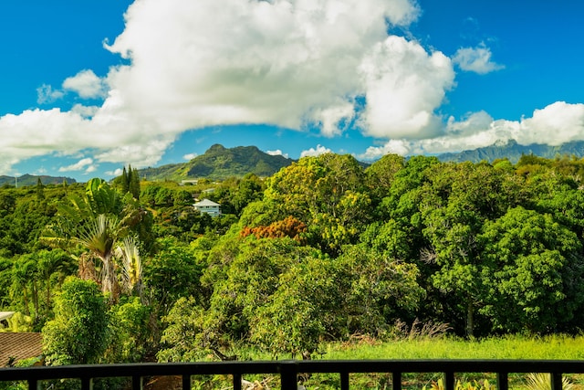 4879 Lani Rd, Kapaa, HI 96746 - view of mountain backdrop featuring a heavily wooded area