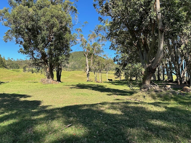 64-550 Mamalahoa Hwy, Kamuela, HI 96743 - photo 12