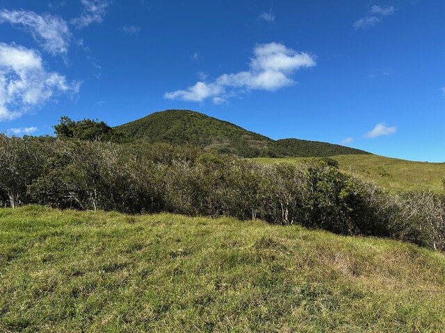 64-550 Mamalahoa Hwy, Kamuela, HI 96743 - photo 7