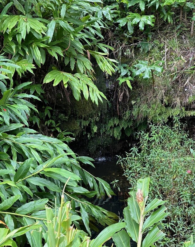64-550 Mamalahoa Hwy, Kamuela, HI 96743 - photo 9