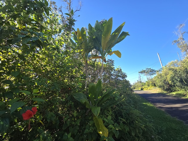 16-2108 Kuleana St, Pahoa, HI 96778