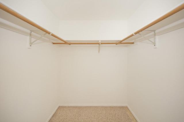 15-1765 23rd Ave, Keaau, HI 96749 - spacious closet featuring light carpet