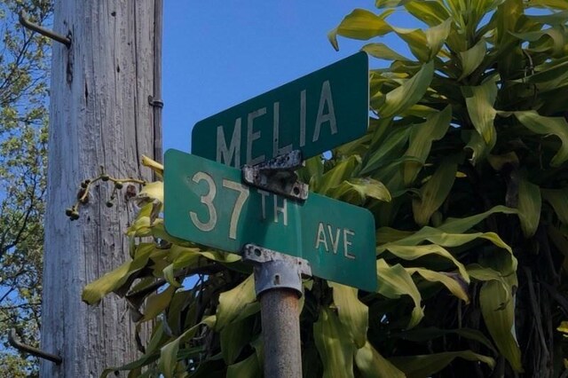 16-1734 37th Ave, Keaau, HI 96749