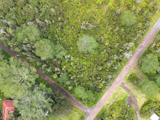 16-1734 37th Ave, Keaau, HI 96749