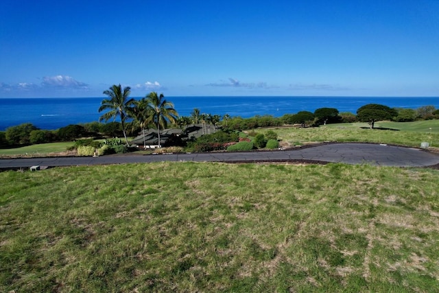 81-6564 Paiai Pl, Kealakekua, HI 96750