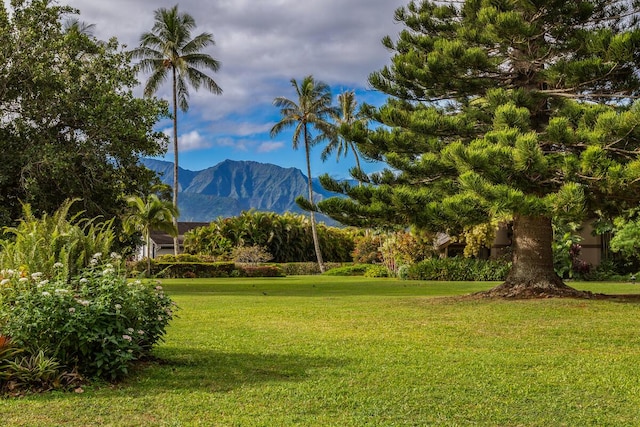5280 Ka Haku Rd Unit 8, Princeville, HI 96722 - mountain view