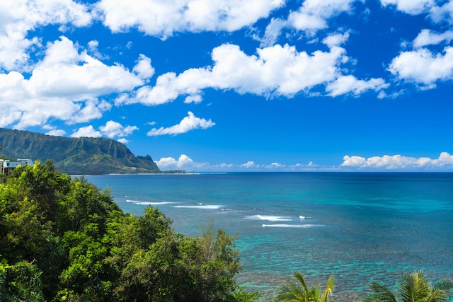 5280 Ka Haku Rd Unit 8, Princeville, HI 96722 - water view featuring a mountainous background
