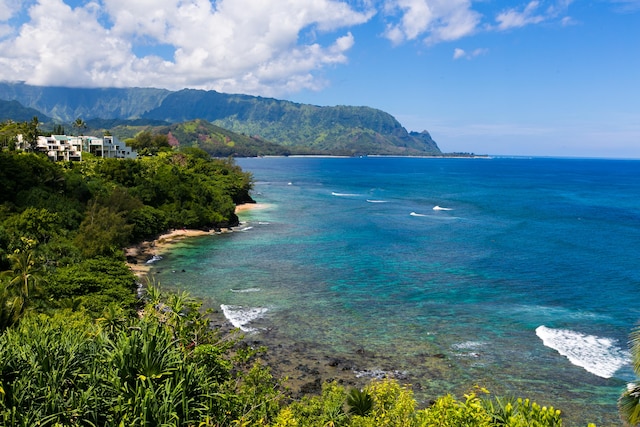 5280 Ka Haku Rd Unit 8, Princeville, HI 96722 - water view with a mountainous background