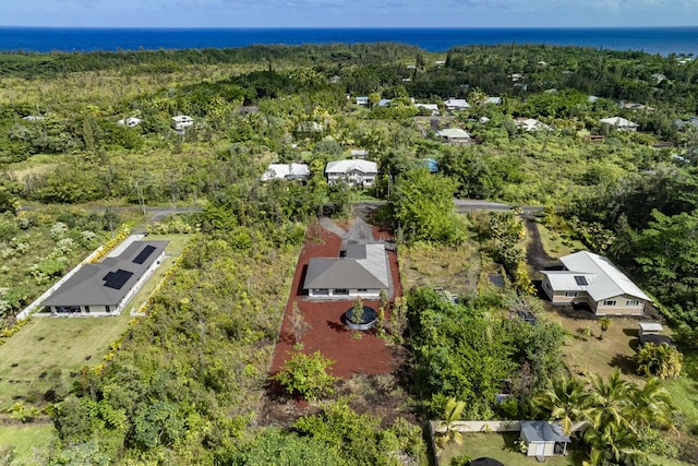 15-1042 Amau Rd, Keaau, HI 96749 - drone / aerial view of a large body of water