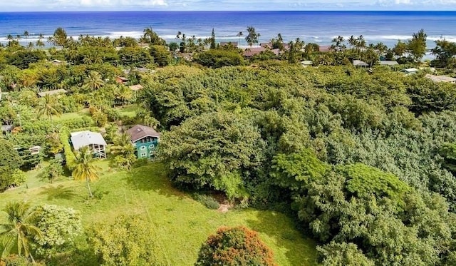 7143 Alamihi Rd, Hanalei, HI 96714 - view of property location featuring a nearby body of water