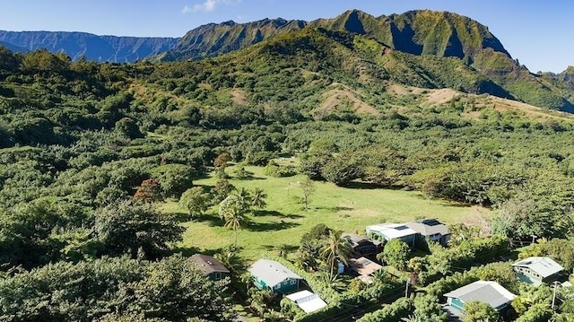 7143 Alamihi Rd, Hanalei, HI 96714 - view of mountain background featuring a forest