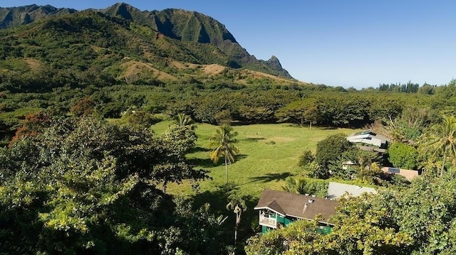 7143 Alamihi Rd, Hanalei, HI 96714 - view of mountain background with a forest