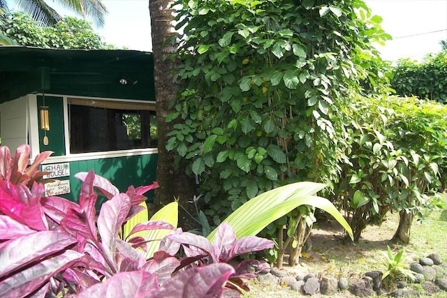 7143 Alamihi Rd, Hanalei, HI 96714 - exterior view