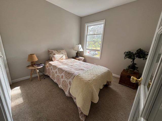 11-3887 10th St, Volcano, HI 96785 - bedroom with light carpet and baseboards