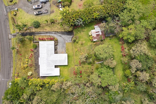 17-549 Ipuaiwaha St, Keaau, HI 96749 - bird's eye view