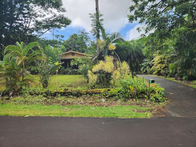 15-2786 Kawakawa St, Pahoa, HI 96778 - view of yard