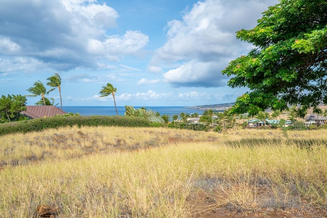 Unit 31, Kamuela, HI 96743 - photo 4