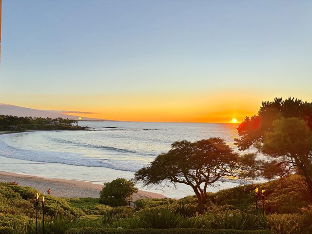 Unit 31, Kamuela, HI 96743 - photo 5