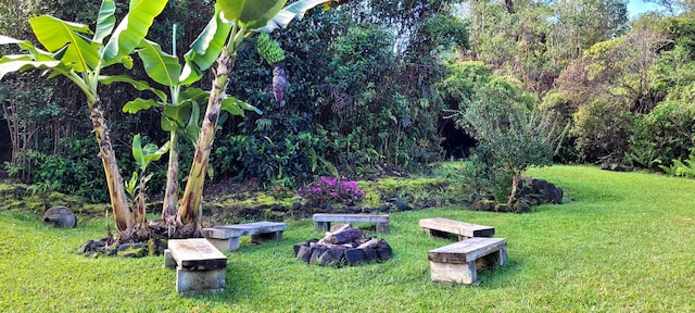 11-2775 Lehua St, Mountain View, HI 96771 - view of green lawn