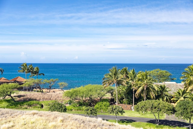 62-3646 Kiekiena Pl, Kamuela, HI 96743 - photo 10