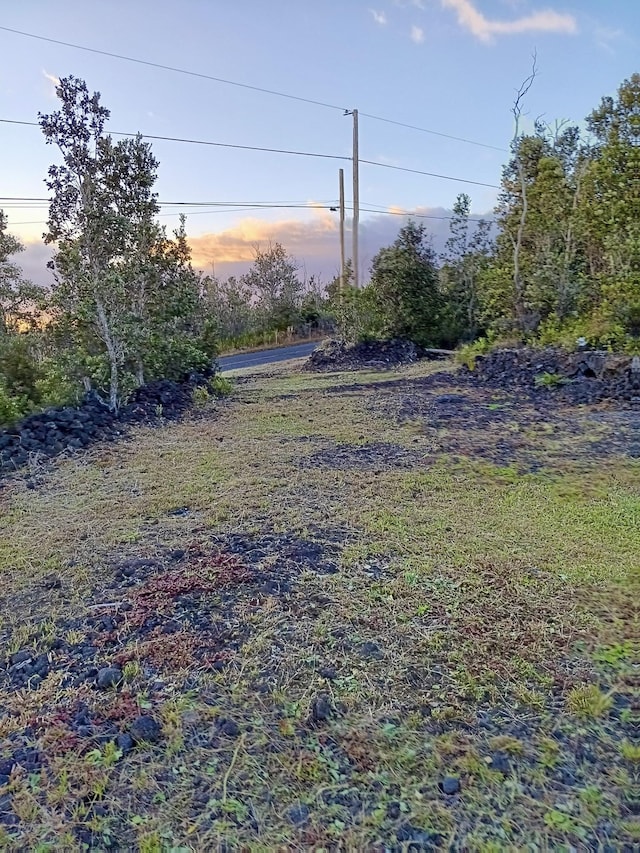 92-9208 Paradise Pkwy, Ocean View, HI 96737 - view of yard