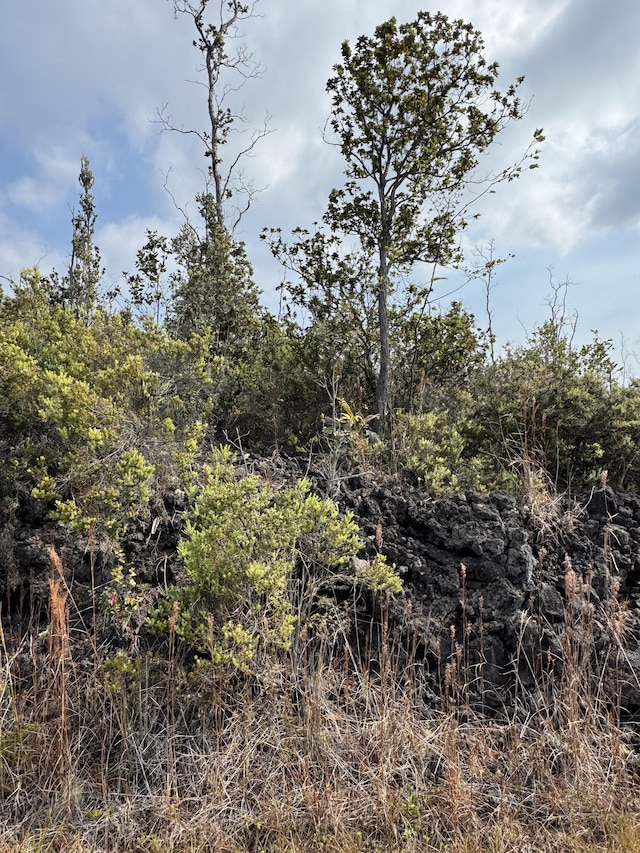 92-9208 Paradise Pkwy, Ocean View, HI 96737 - view of local wilderness