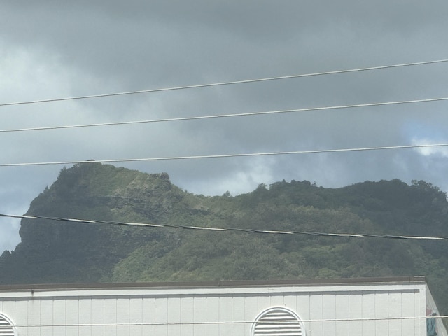 04-1176-B Kuhio Hwy Unit 1, Kapaa, HI 96746 - photo 21