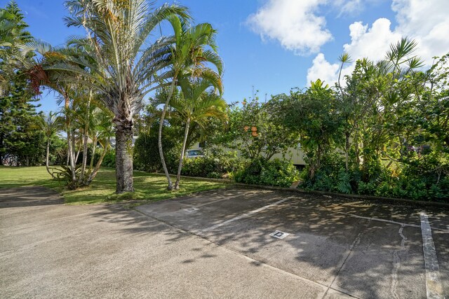 3360 Elima St Unit D, Lihue, HI 96766 - photo 27