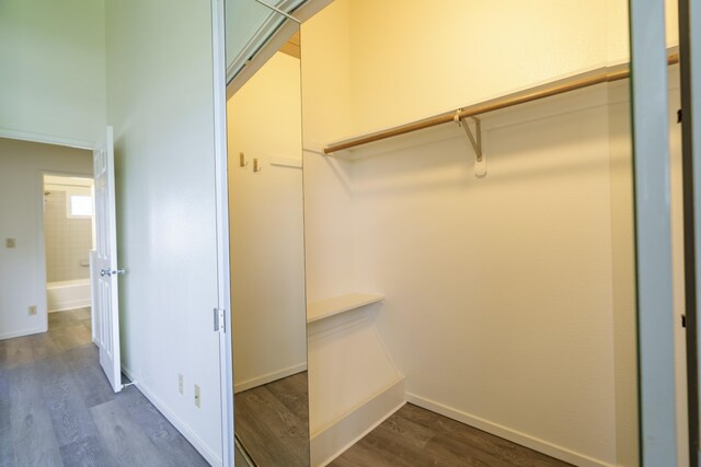 3360 Elima St Unit D, Lihue, HI 96766 - photo 5