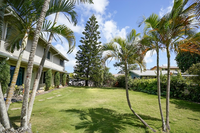 3360 Elima St Unit D, Lihue, HI 96766 - photo 28