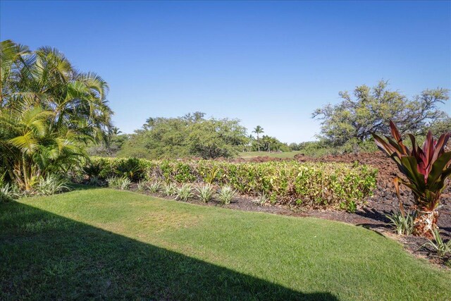 68-1122 Kaniku Dr Unit 111, Kamuela, HI 96743 - view of green lawn