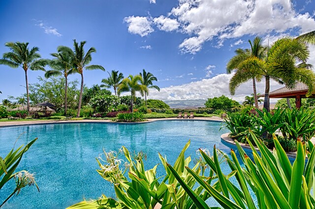 68-1122 Kaniku Dr Unit 111, Kamuela, HI 96743 - view of community pool