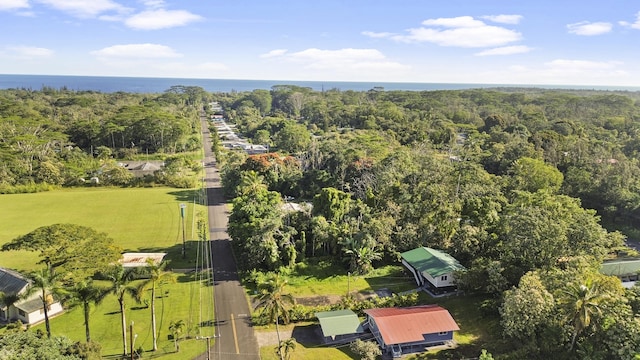 15-385 Puni Makai Loop, Pahoa, HI 96778 - bird's eye view of a nearby body of water and a heavily wooded area