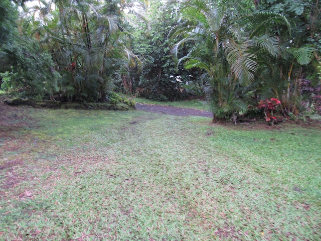 12-567 Aloha Rd, Pahoa, HI 96778 - view of grassy yard