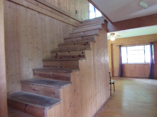 12-567 Aloha Rd, Pahoa, HI 96778 - stairway featuring wooden walls and wood finished floors